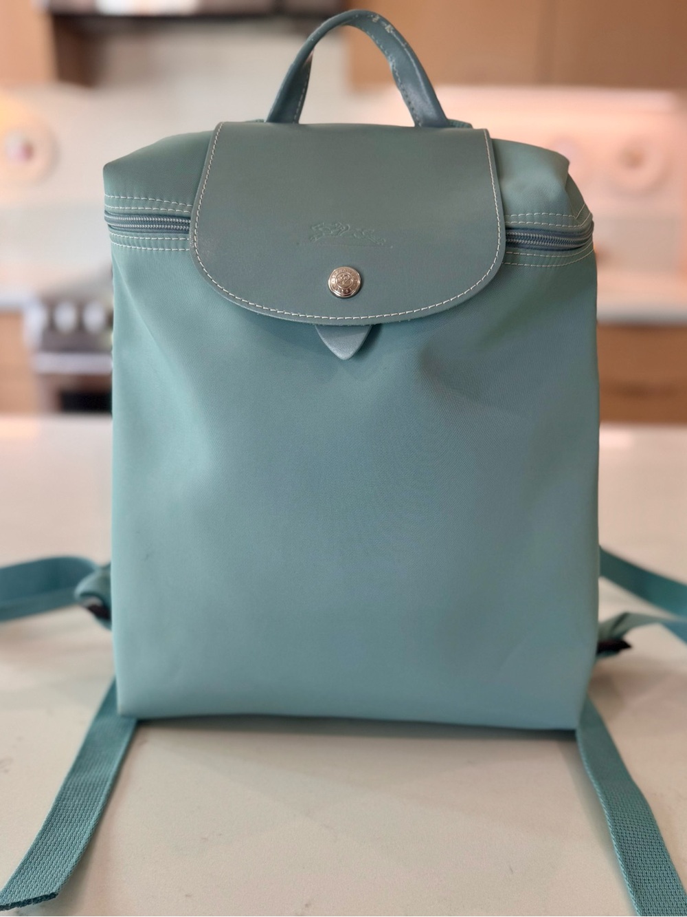 Longchamp Le Pliage Small Backpack in Sky Blue